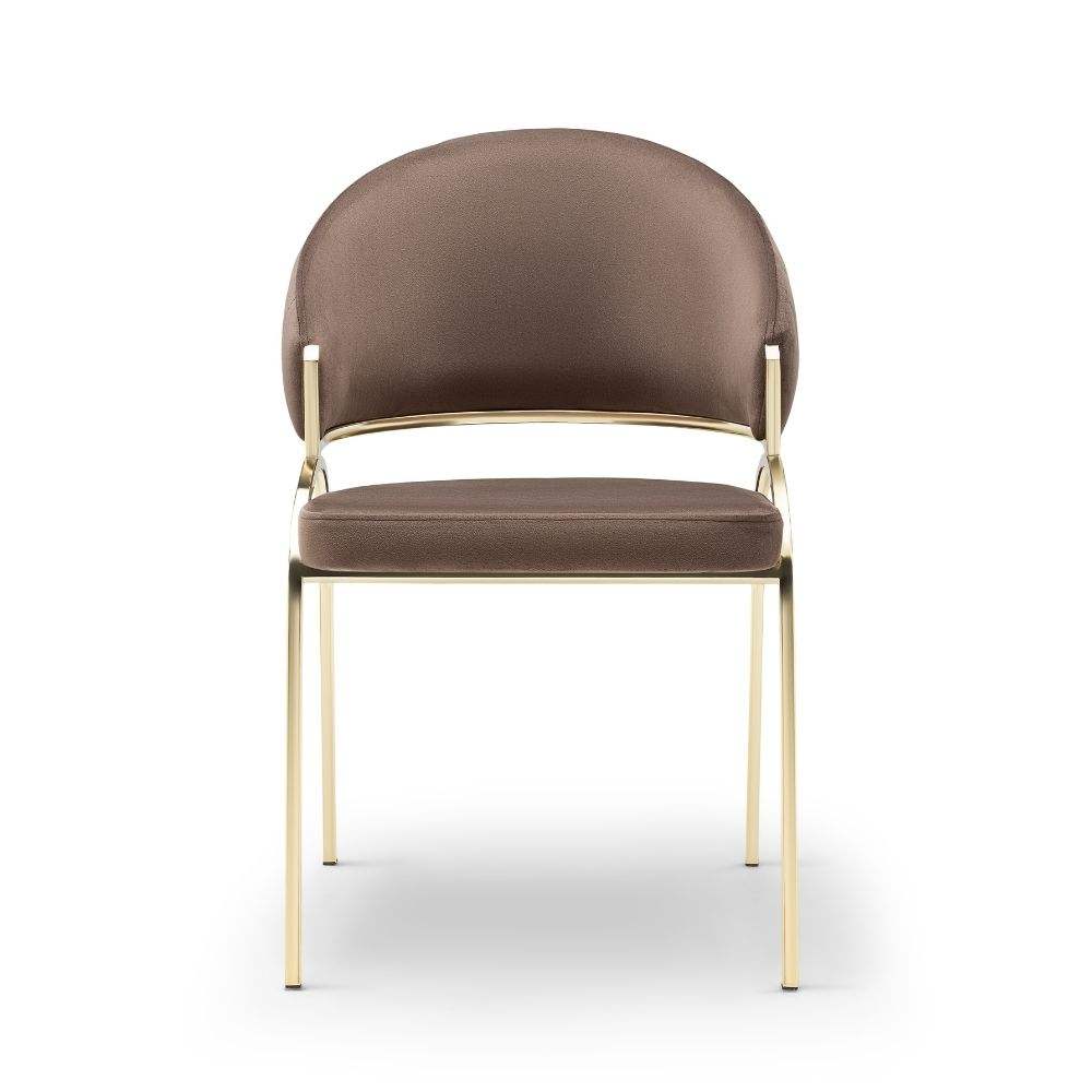 สีน้ำตาล