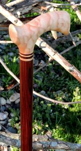 BALANCE Price Canne en bois réglable avec plusieurs nœuds Bâton de marche en bois solide pour les aînés par Standard International - Product Image 3