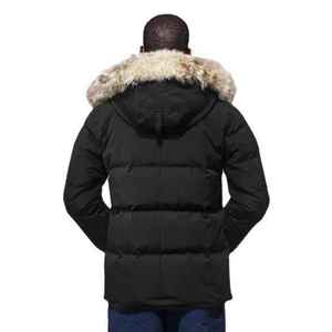 Chaqueta acolchada de invierno de alta calidad para hombre, prendas de vestir informales con cuello levantado, abrigos de alta calidad, chaqueta acolchada para hombre - Product Image 5