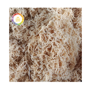 Algas Marinas al por mayor con varios tipos de seamoss saladas/sin sal a granel a precios al por mayor - Product Image 1