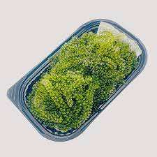 ALGAS DESHIDRATADAS NATURALES DE ALTA CALIDAD, CAVIAR VERDE-50 gramos (70 gramos después de remojar en agua) Vietnam - Product Image 4