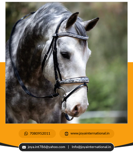 Bride de cheval vénitien en édition limitée de haute qualité du fournisseur indien authentique Bride saisonnière de réduction de poids en gros - Product Image 5