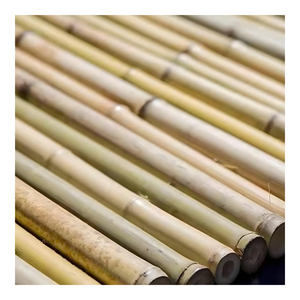 Poteaux de bambou de grand diamètre Vietnam - 100mm bâtons de canne naturels solides en gros pour meubles et bâtiment-FBP1027 - Product Image 1