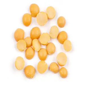 スプリットエンドウ豆予防製品高品質、健康的な卸売の真の供給源、黄色のスプリットエンドウ豆