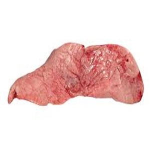 Poumon de porc congelé abordable - Product Image 6