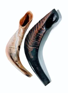 Corne casher yéménite de haute qualité Shofar corne à boire polie - Product Image 4
