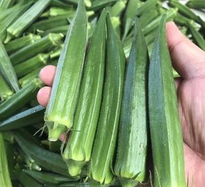 Okra Fresca Orgánica en Oferta, Congelada a Granel, 3 kg - Product Image 6