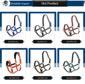 ¡Venta directa de fábrica! Personalizable New Horse Nylon Halter cuero y material PP con opciones de color de logotipo - Product Image 5