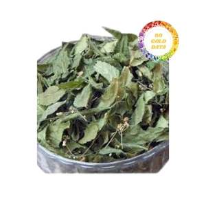 Fournisseur de feuilles de neem séchées en vrac offrant une qualité stable et un excellent prix adapté à un usage industriel et au détail - Product Image 2