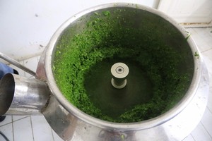 ใบมันสำปะหลังหั่นฝอยแช่แข็งเพื่อความสะดวกในการปรุงอาหารและการส่งออก - Product Image 4