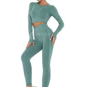 Private Label Seamless Yoga Sets <b>Crop</b> Top and Yoga <b>Leggings</b> Yoga Suit in Fitness Active Wear for <b>Women</b> 2-Piece Sets - Product Image 1
