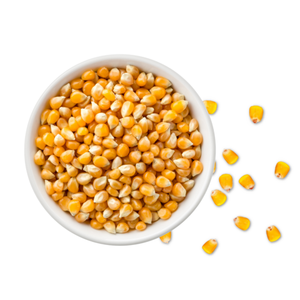 Grains de maïs blancs glutineux biologiques non OGM de qualité supérieure - Product Image 3