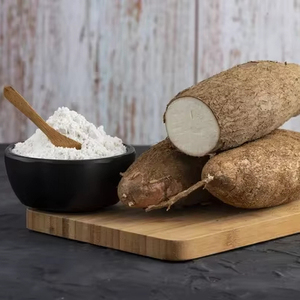 Harina de Tapioca (Almidón de Yuca) de Alto Estándar, Almidón de Maíz Nativo y Modificado en Polvo, Empaquetado en Bolsas para Uso en la Industria Alimentaria - Product Image 1