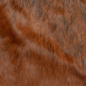 Tapis en peau de vache original Cachette de sol décorative naturelle - Product Image 2