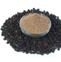 Poudre de poivre noir biologique sans OGM Épice d'assaisonnement de première qualité pour l'industrie alimentaire Approvisionnement en vrac Certifié halal