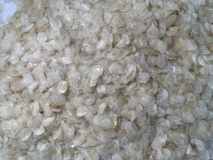 Écailles de poisson tilapia séchées à vendre, grande taille, plus de 1 cm, spécialisées dans la production de collagène - Product Image 6