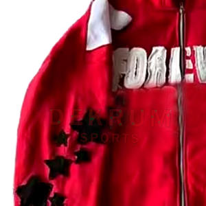 Sweat à capuche brodé de style designer pour hommes, motif imprimé Streetwear, poids lourd, approvisionnement en gros ODM personnalisé - Product Image 5