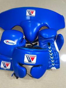 Guantes de MMA de Piel Auténtica de Alta Calidad al por Mayor, Color Azul, Juego de Boxeo y Sparring con Protector de Cabeza y Protector Inguinal MS-SP-2718 - Product Image 4