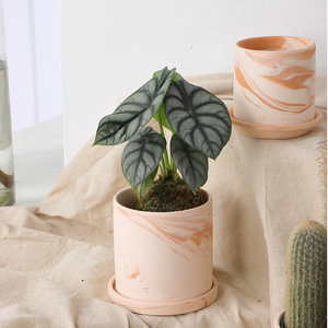 <span class=keywords><strong>Pot</strong></span> <span class=keywords><strong>à</strong></span> <span class=keywords><strong>bonsaï</strong></span> <span class=keywords><strong>japonais</strong></span>, jardinière d'intérieur classique Offre Spéciale en terre cuite Pots de fleurs en terre cuite - Product Image 5