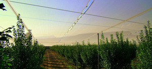 Redes de Sombra de Alta Calidad - Product Image 3