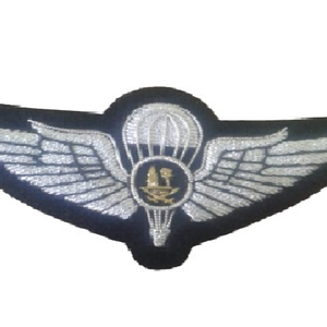 Fournisseur Fabrication OEM Designer Service Bullion Wire Handmade Patches Brodés Badges - Product Image 1