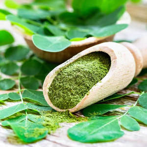 Polvo de Moringa Orgánico Puro Más Vendido, Superalimento para Beneficios Nutricionales Diarios y Apoyo al Sistema Inmunológico - Product Image 1