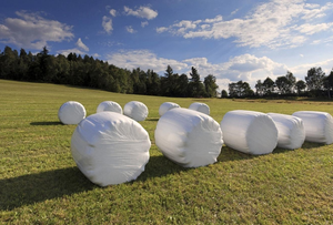 Balles compressées d'ensilage de maïs protégées contre les UV de haute qualité durée de conservation améliorée alimentation animale pour le soutien du bétail de porc de cheval - Product Image 3