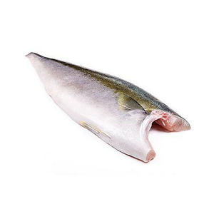 Filet de hamachi en gros SP, présenté avec une coupe de qualité export et une fraîcheur optimale - Product Image 4