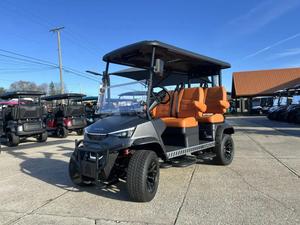 Voiturette de golf Tanon 2 places 30 km/h, modèle 2021, fabriquée en usine, à vendre - Product Image 2