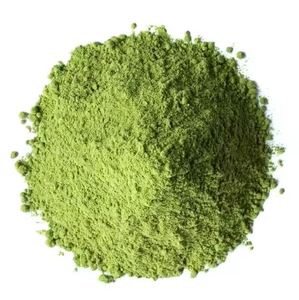 Polvo de hoja índigo de alta calidad | Hierba orgánica para teñir el cabello | Exportador a granel de India - Product Image 5