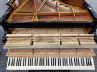 TOP Kawai NX-50A grand Piano Excellent Condition Fast Delivery Original Elegant Finish Smooth Keys Second Hand NX-50 NX50