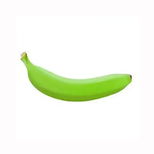 Fresh Green Bananas For Sale / Fresh Cavendish Banana Importers