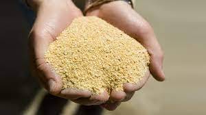 Proteína Animal Digestible de Primera Calidad, Concentrado de Harina de Soja Granulada, Ingrediente para Alimento de Ganado, Cerdos, Pollos y Peces, en Venta - Product Image 3