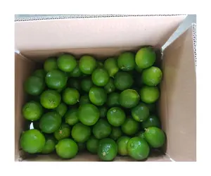 Fresh Premium Persian Lime - Top Quality, Best Price, Directly From Producers In Vietnam