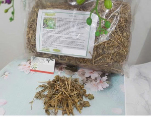 Feuilles de feuilles de sureau séchées Origine Vietnam - Product Image 2