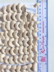 Offres Spéciales emballage de noix de cajou crue organique du Vietnam dans l'étain de vide pour le type de culture de l'exportation W240 - Product Image 2