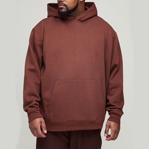 100% coton pull surdimensionné sweats à capuche pour hommes Style personnalisé Logo conception basique lourd hiver sweat mélange de coton - Product Image 1