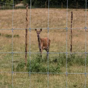 Rolls Fencing For Field Goat Proof Livestock Wire Grassland Fence