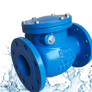 <span class=keywords><strong>Valve</strong></span> non-<span class=keywords><strong>retour</strong></span> malléable GGG40 à bride oscillante ANSI classe 125 DIN PN16 BS JIS DN50-DN300 pour système gaz résilient personnalisé - Product Image 1