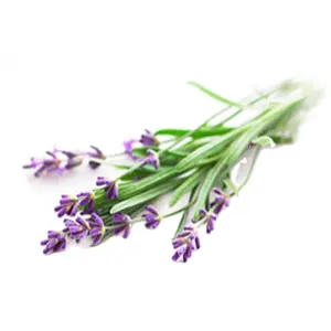 Hochwertiges individuelles Logo Eigenmarke Pflanzentherapie-Parfüm Lavendel Hotel Desinfektionsmittel natürlich kaufen reine Ätherische Öle zum verkauf