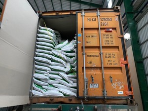 JAPONICA Exclusivo DS1 Tipo Arroz Jazmín Supermercado Minorista Exportador de Alimentos Arroz Aromático Suave de Vietnam - Product Image 3