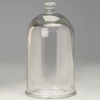 Cloche en verre haute performance avec rebord taillé et chambre à vide robuste pour usage éducatif