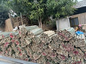 Poteau en bambou à fentes très demandé pour projets de construction artisanale, de charpente et de soutien – Origine Vietnam - Product Image 2