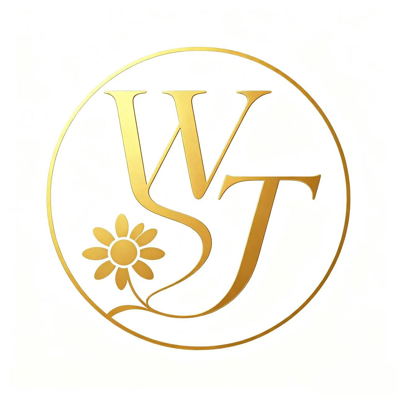 Shenzhen Wedtex Co., Ltd. logo