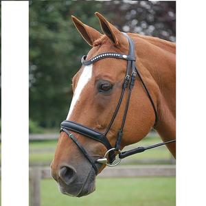 Bride en cuir de cheval haut de gamme de meilleure qualité à un prix économique pour les produits équestres haut de gamme - Product Image 1