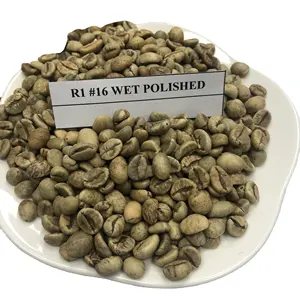도매 대량 수량 2022 ROBUSTA 녹색 커피 콩-프리미엄 품질 최고의 가격 WHATSAPP + 84 326055616