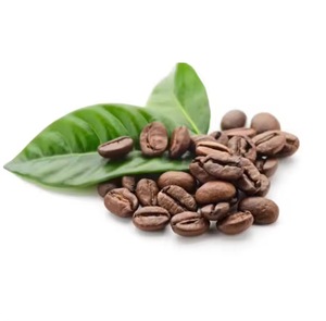 Nouveau meilleur prix d'usine sur les grains de café vert Robusta de qualité supérieure 100% naturel pur biologique de haute qualité Culture Achetez maintenant - Product Image 3