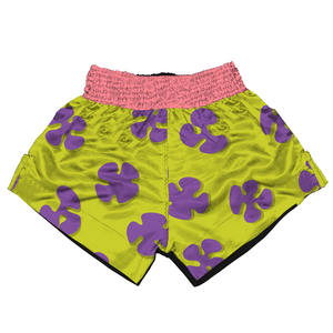 Nouveauté 2026 : Short de Boxe Rose pour Homme – Entraînement, Fitness, Combat, MMA, Muay Thai, Kickboxing – Vêtement de Sport - Product Image 2