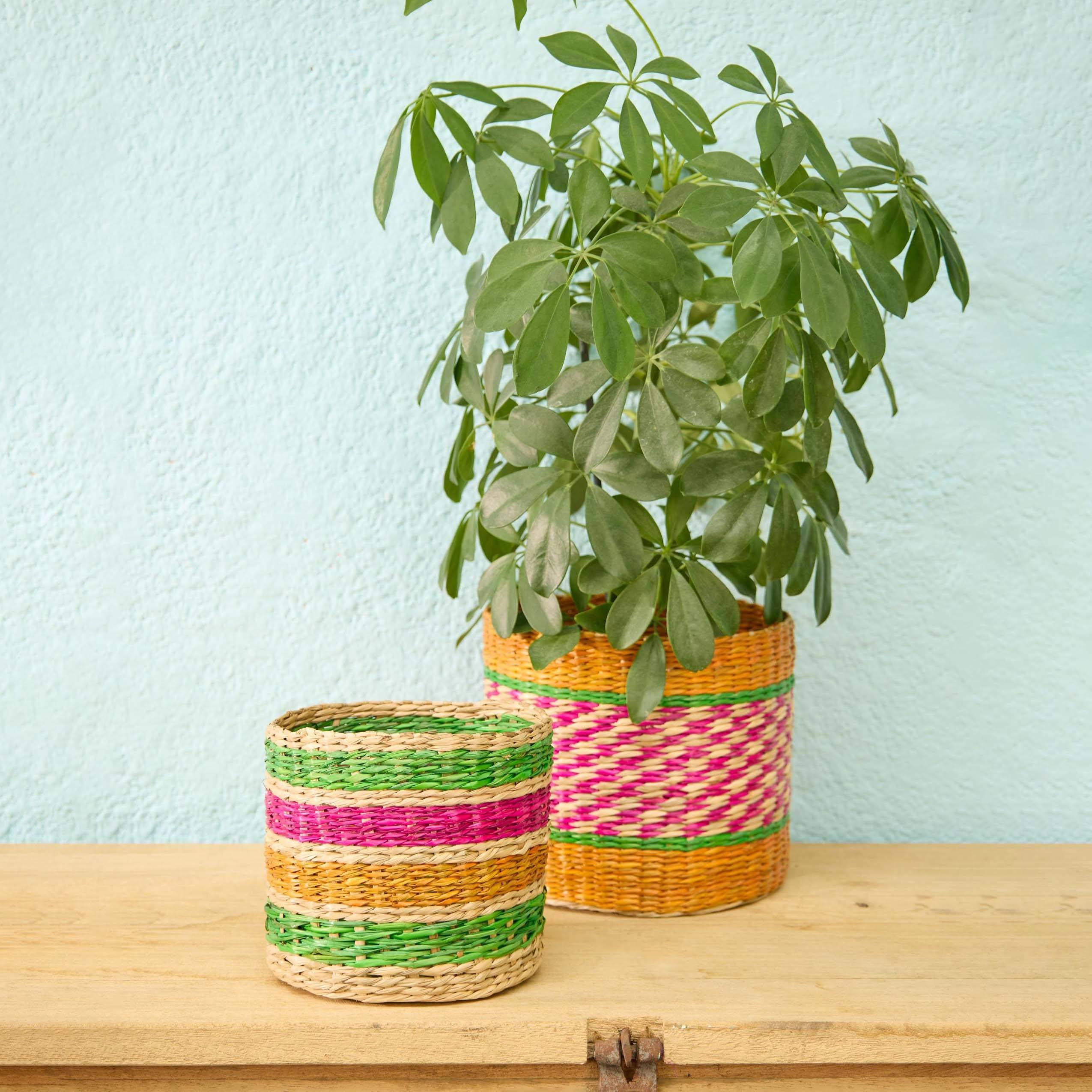 ธรรมชาติ