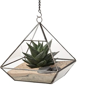 Terrarium en verre et métal de forme personnalisée Terrarium en verre de taille standard pour décoration de dessus de table de mariage ou de fête de Noël - Product Image 6